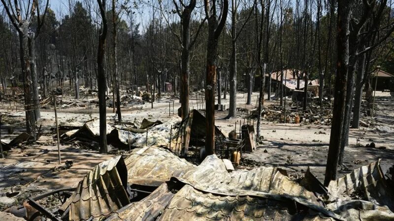 Incendio en Ávila: El Mayor de la Historia de España con 50,000 Hectáreas Afectadas