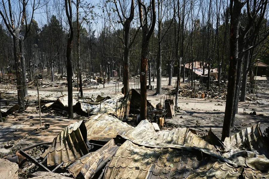 Incendio en Ávila: El Mayor de la Historia de España con 50,000 Hectáreas Afectadas