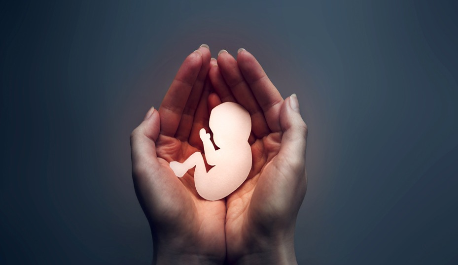La Alianza Cristiana: El Aborto y la Fe en el Debate Nacional