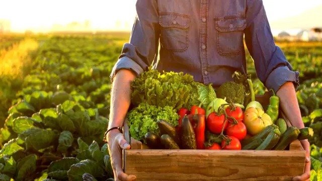 Latinoamérica: Futuro Líder en Producción Mundial de Alimentos