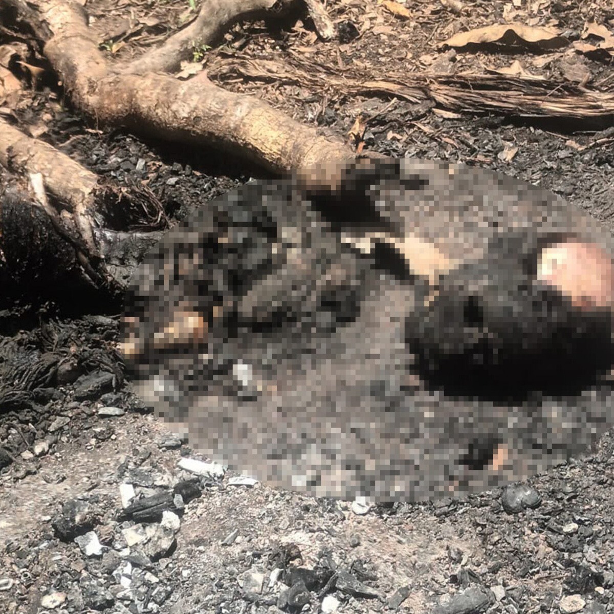 Autoridades Investigan Macabro Hallazgo de Restos Humanos en Dajabón