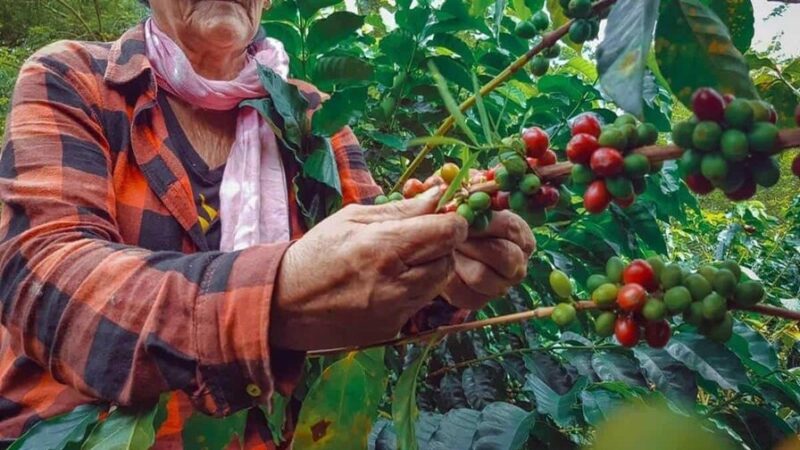 Elías Piña: Un Futuro Prometedor en la Frontera