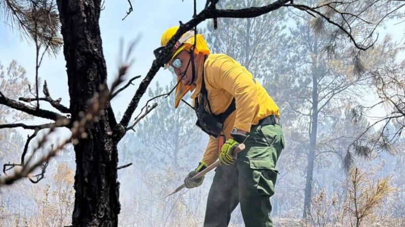 Refuerzan Operativos para Combatir Incendios Forestales en el País