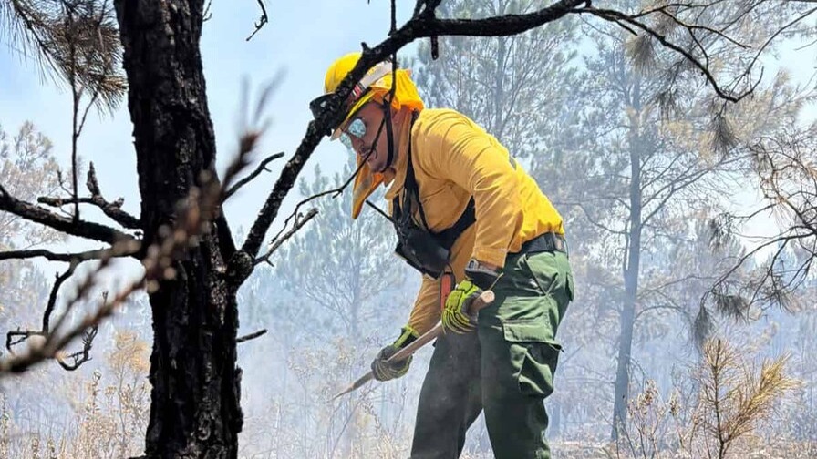 Refuerzan Operativos para Combatir Incendios Forestales en el País