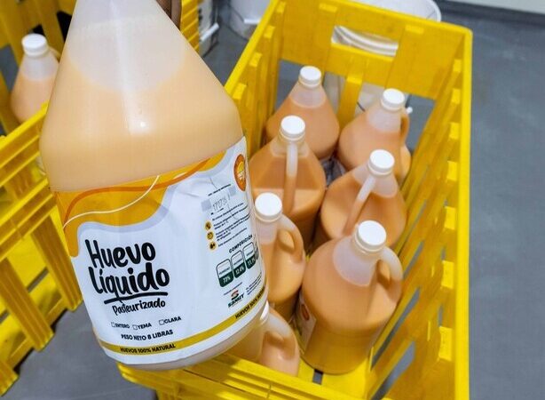 Industria del Huevo Pasteurizado: Un Salto Innovador en República Dominicana