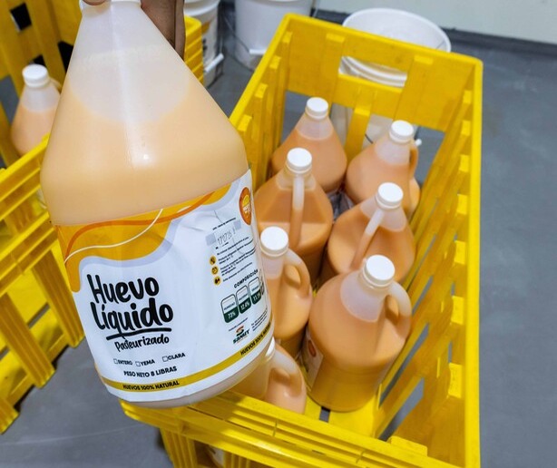 Industria del Huevo Pasteurizado: Un Salto Innovador en República Dominicana