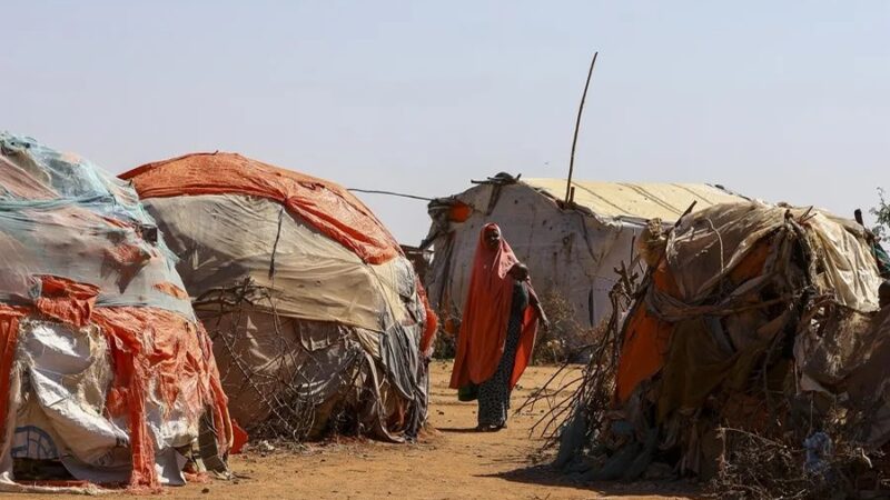 Informe de la ONU: El Hambre Mundial Afecta a 645 Millones a Pesar de Leves Mejoras