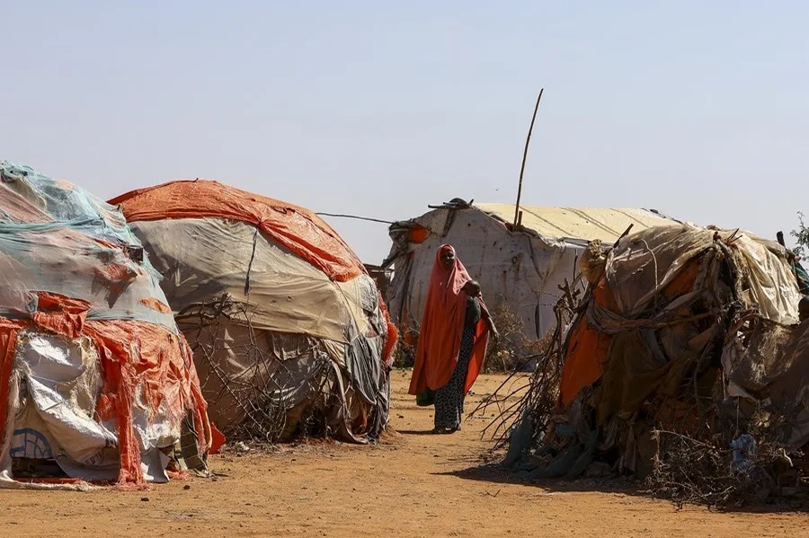 Informe de la ONU: El Hambre Mundial Afecta a 645 Millones a Pesar de Leves Mejoras