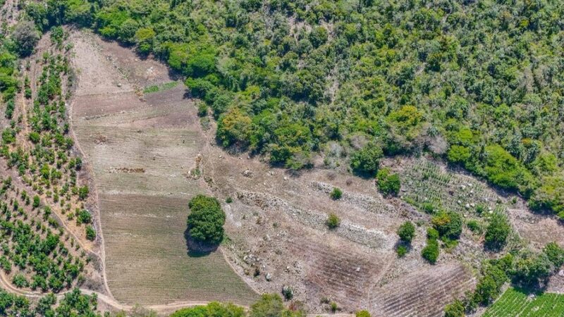 Continúa la Investigación sobre Marihuana Incautada en San José de Ocoa