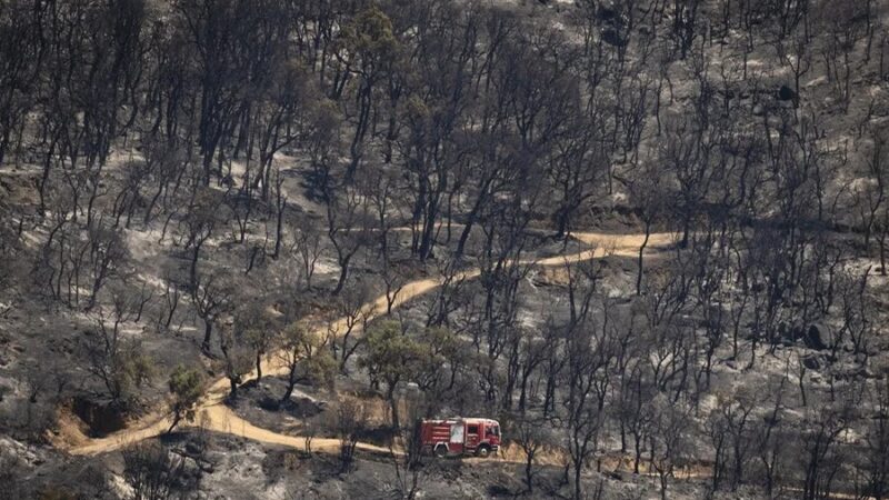 Incendio en Les Gavarres: Un Desafío para los Bomberos en Girona