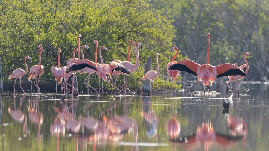 Zoológico Nacional: Refugio de Fauna Silvestre en Peligro