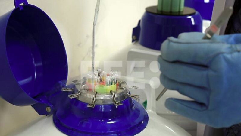 Impacto de la Contaminación en la Calidad del Semen: Un Estudio Revelador