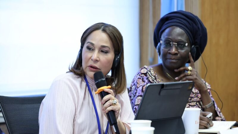 República Dominicana Reduce la Pobreza al 17% Según Informe en la ONU