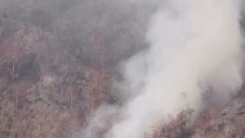 Controlado Incendio en Parque Nacional José del Carmen Ramírez