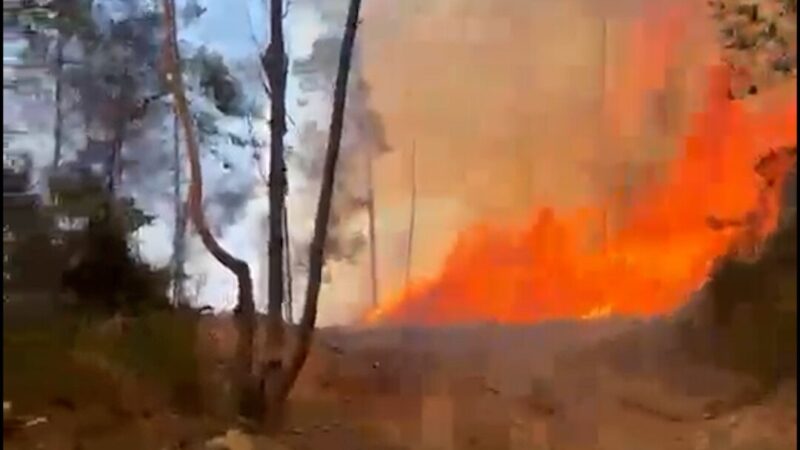 Incendio Forestal Afecta San José de las Matas: Brigadas Logran Controlar el 50%