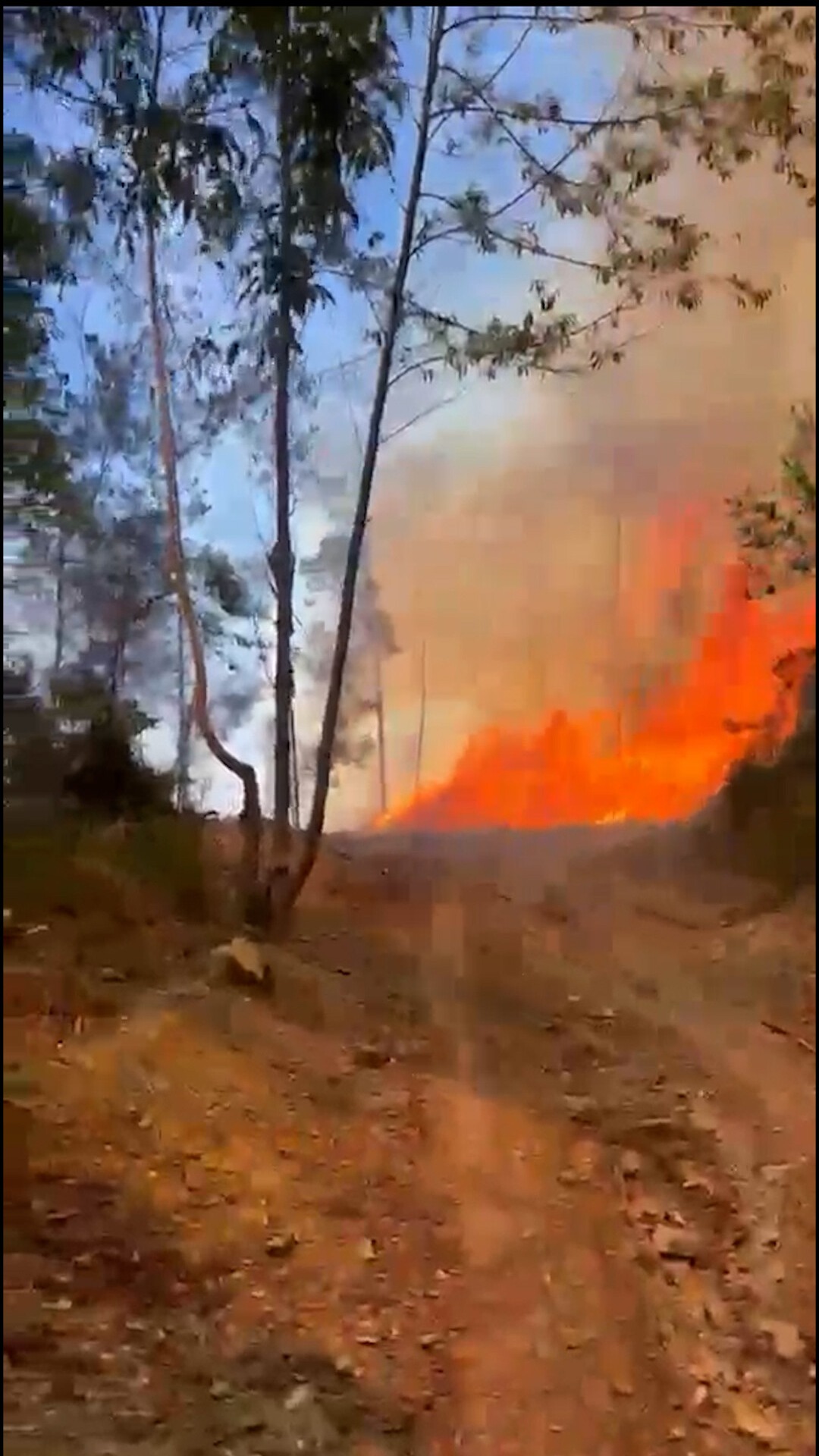 Incendio Forestal Afecta San José de las Matas: Brigadas Logran Controlar el 50%