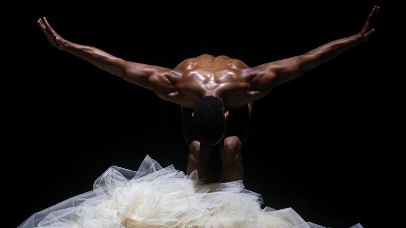 EDANCO 2026: El Festival de Danza que Revoluciona el Caribe