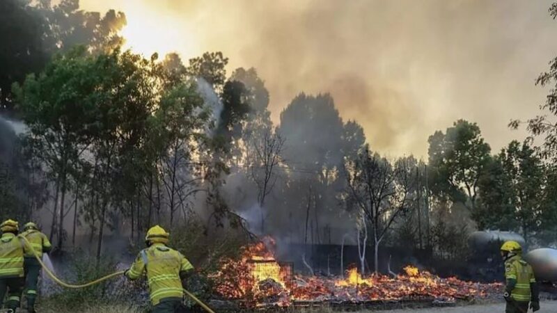 Francia Despliega 200 Bomberos para Controlar Incendio en el Sur