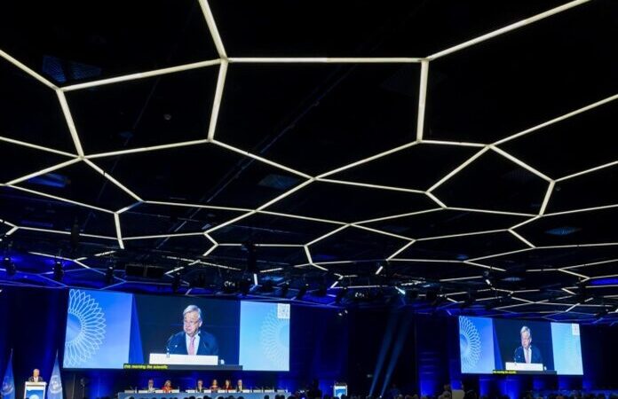 ONU Llama a Proteger a los Niños de los Riesgos de la Inteligencia Artificial