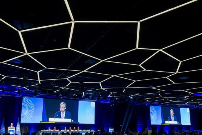 ONU Llama a Proteger a los Niños de los Riesgos de la Inteligencia Artificial