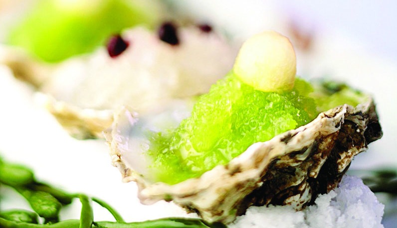 La Romana se Consolida como el Epicentro Gastronómico del Caribe
