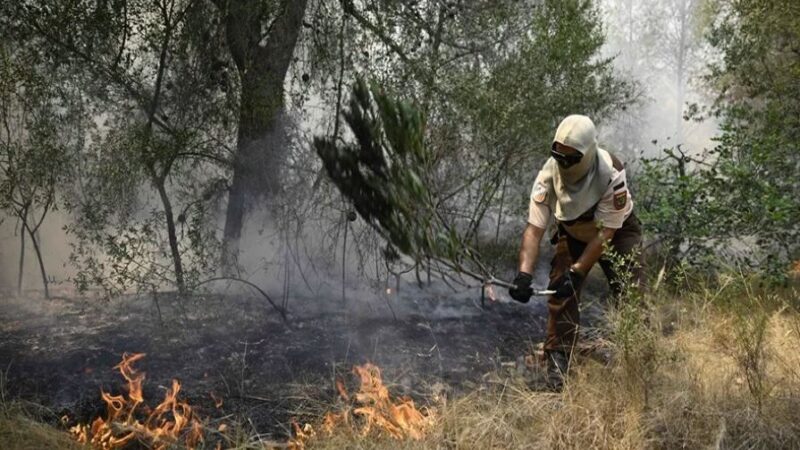 España Declara 211 Zonas de Emergencia por Catástrofes Naturales