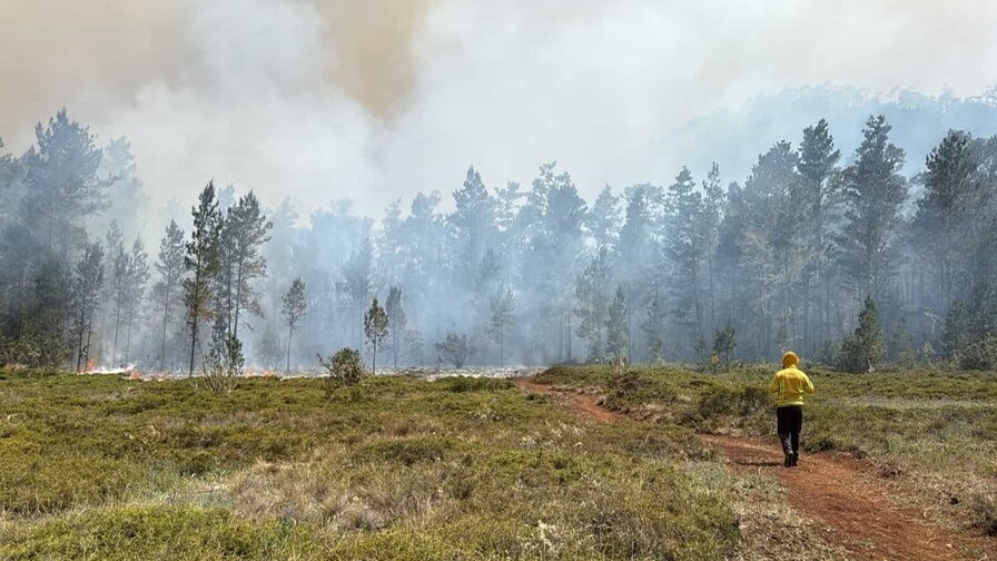Medio Ambiente Refuerza Control sobre Quemas Agrícolas para Prevenir Incendios