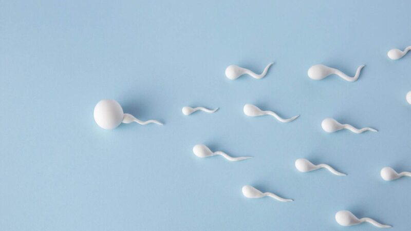 Impacto de la Contaminación en la Calidad del Semen: Un Estudio Revelador
