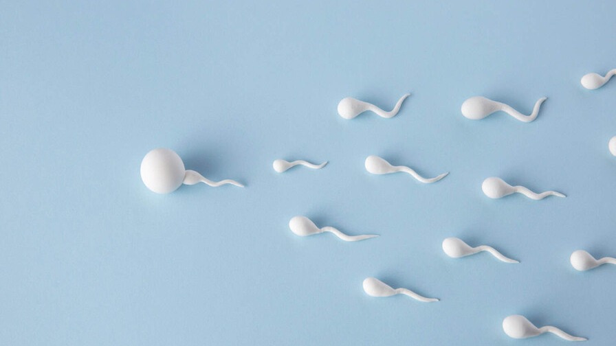 Impacto de la Contaminación en la Calidad del Semen: Un Estudio Revelador