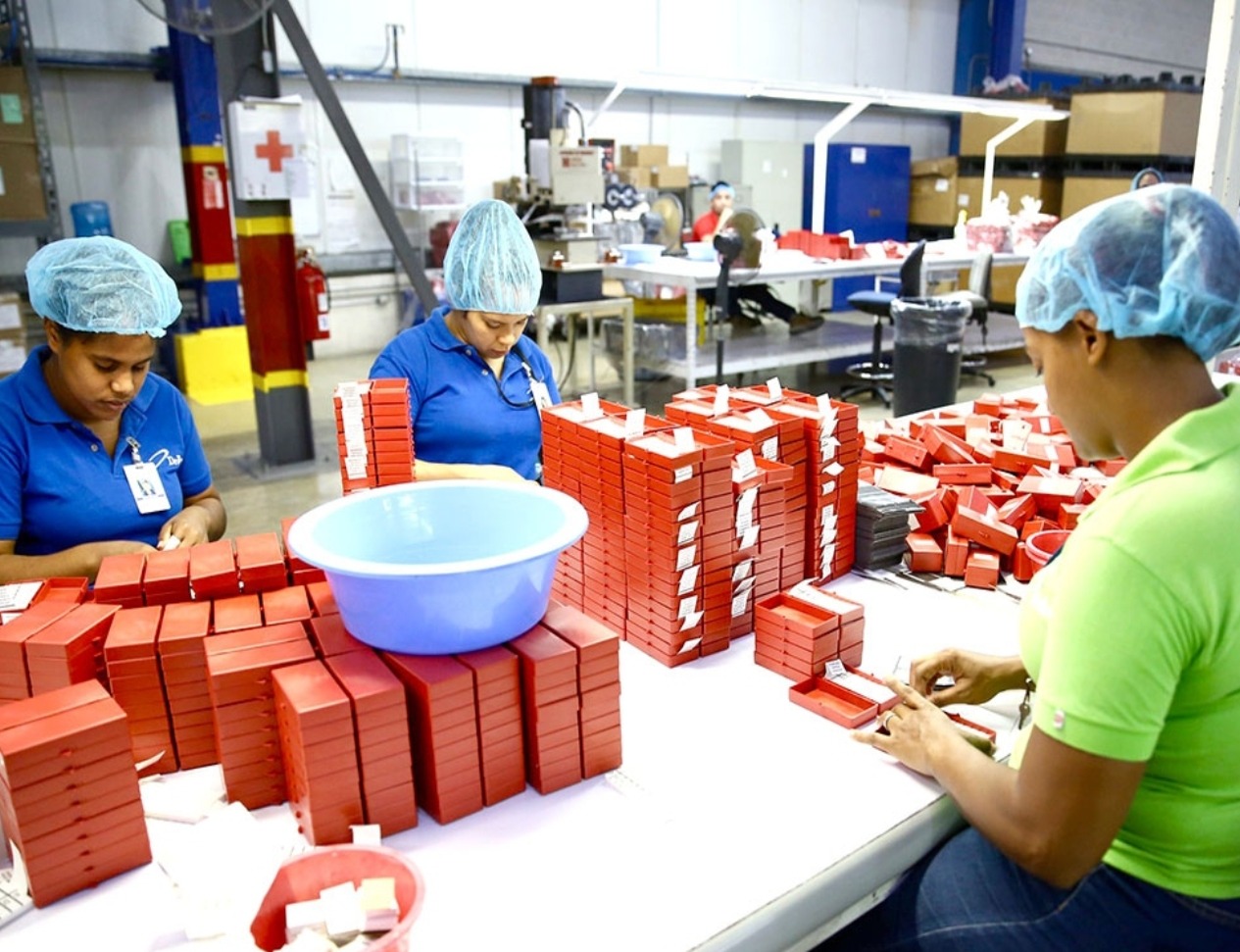 Sector Servicios: Principal Empleador de Mujeres en República Dominicana