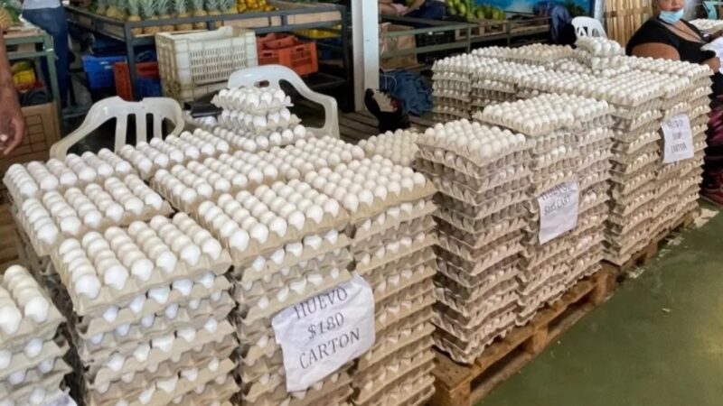 Estabilidad en el Precio de los Huevos en Santo Domingo Impulsa Exportaciones Millonarias