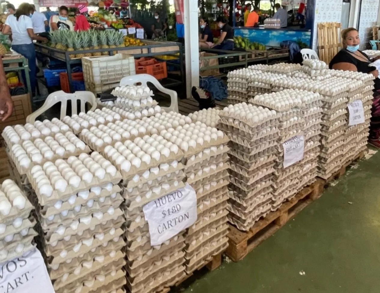 Estabilidad en el Precio de los Huevos en Santo Domingo Impulsa Exportaciones Millonarias