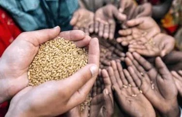 El Niño amenaza la seguridad alimentaria en Centroamérica, advierte la ONU
