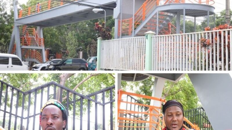 Rehabilitación del Puente en Ortega y Gasset: Un Respiro para los Peatones