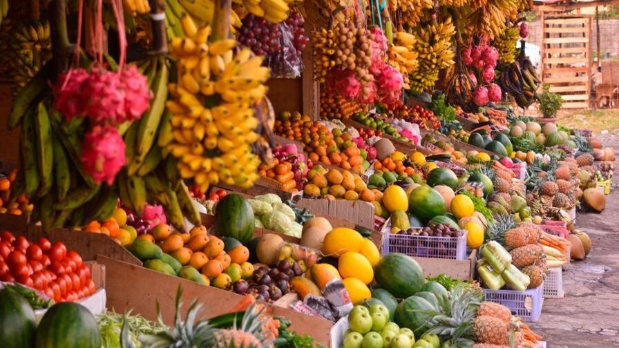 República Dominicana: Un Ejemplo en la Lucha Contra el Hambre