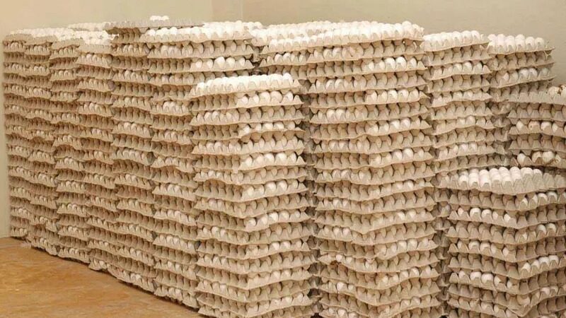 Cuba Recibirá Importante Cargamento de Huevos Dominicanos Tras Retraso Logístico