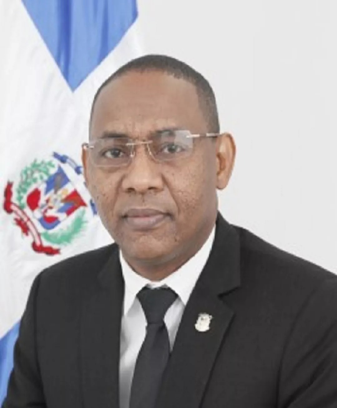 PLD Avanza con Comisiones para Consulta Presidencial Pese a Advertencias Legales