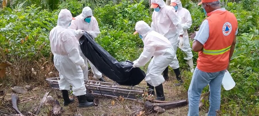 Aumentan a Tres los Casos de Cuerpos Calcinados en República Dominicana Este Año