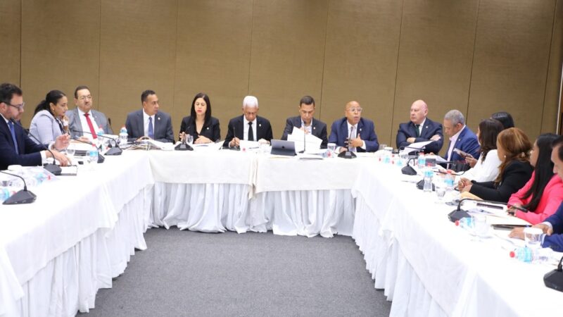 Comisión Bicameral Avanza en la Reforma del Código Penal Dominicano