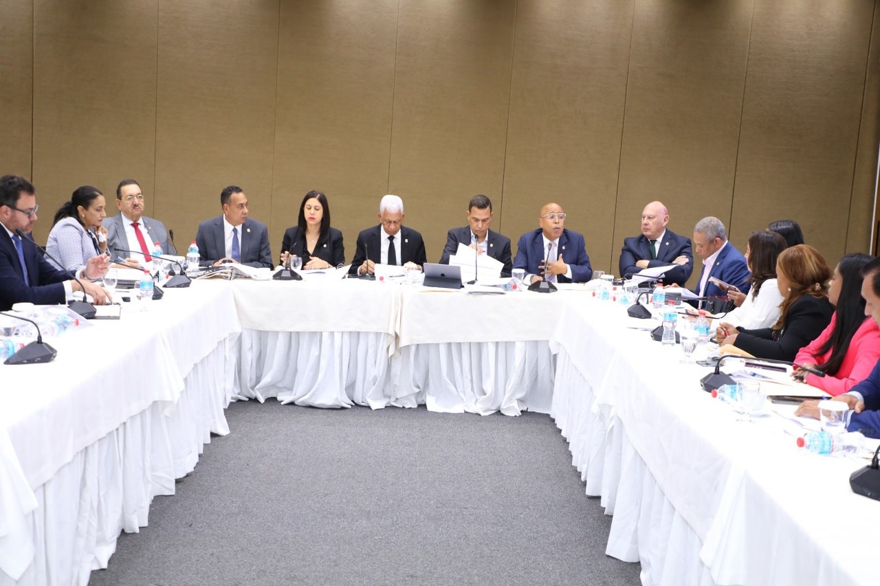 Comisión Bicameral Avanza en la Reforma del Código Penal Dominicano