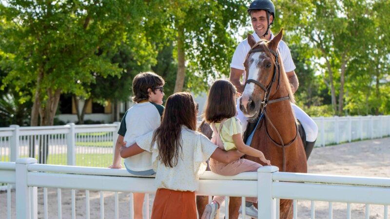 Celebración Global: El Día Mundial del Caballo y su Importancia
