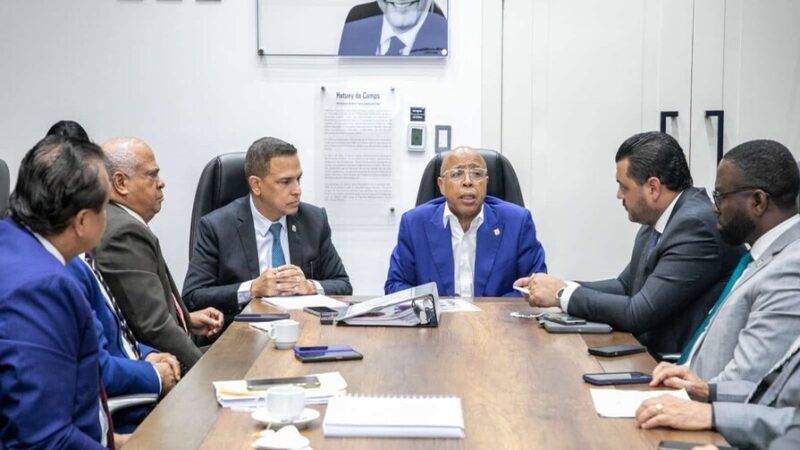 Congreso Dominicano Recibe 20 Propuestas para Reformar el Código Penal
