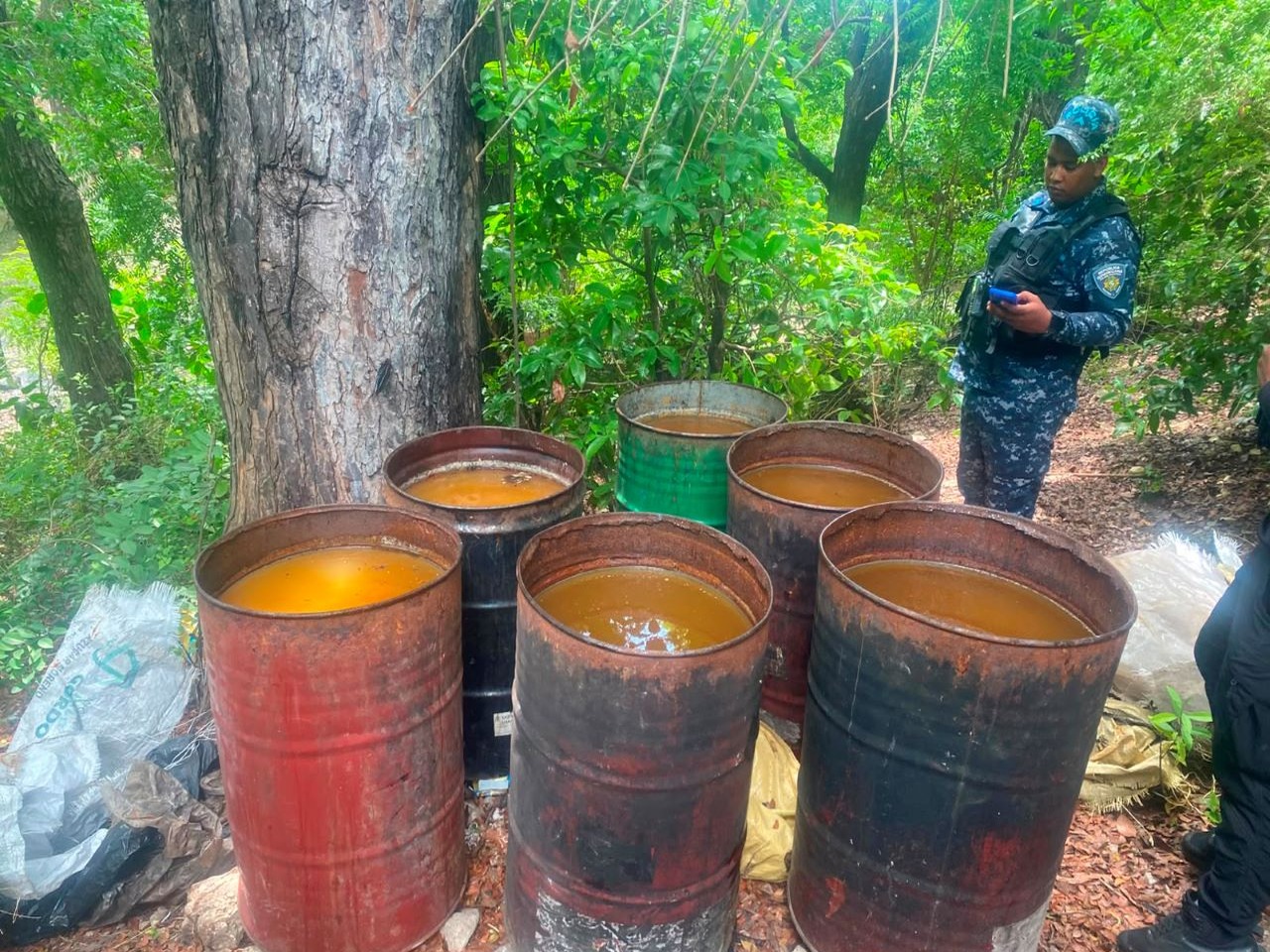 Desmantelan Fábrica Clandestina de Alcohol Adulterado en Azua