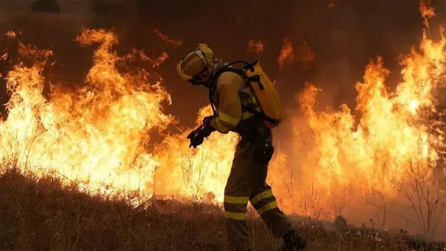 Devastador Incendio en Ávila: Un Paisaje de Cenizas y Esperanza