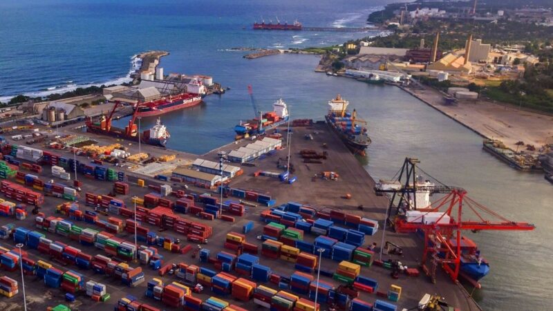 Crisis en el Mercado de Huevos: Exportaciones a Cuba en Suspenso