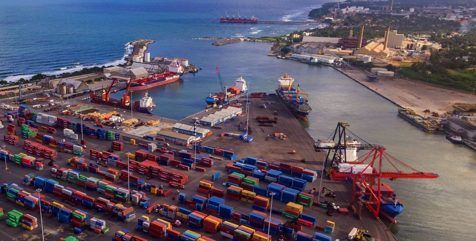 Crisis en el Mercado de Huevos: Exportaciones a Cuba en Suspenso