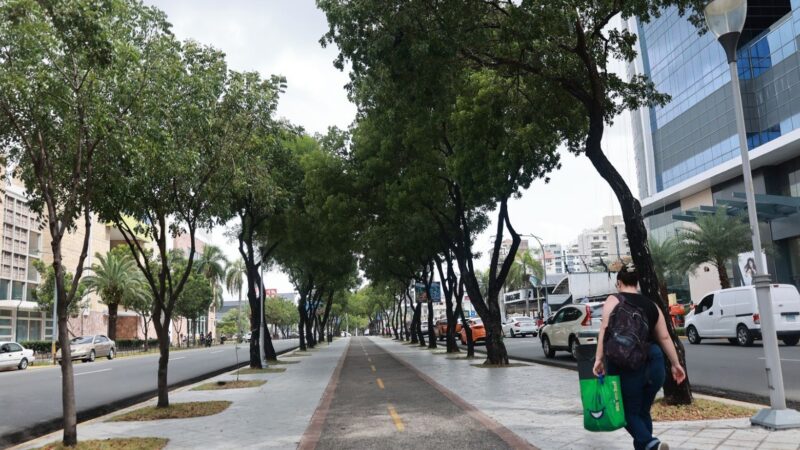 Avenida Churchill: El Corazón Económico y Turístico de Santo Domingo