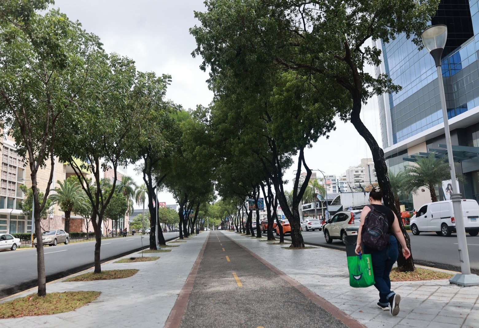 Avenida Churchill: El Corazón Económico y Turístico de Santo Domingo