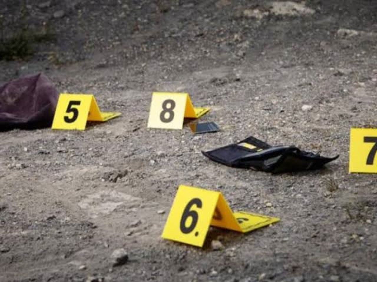 Alarmante Aumento de Violencia Infantil y Salud Mental en República Dominicana