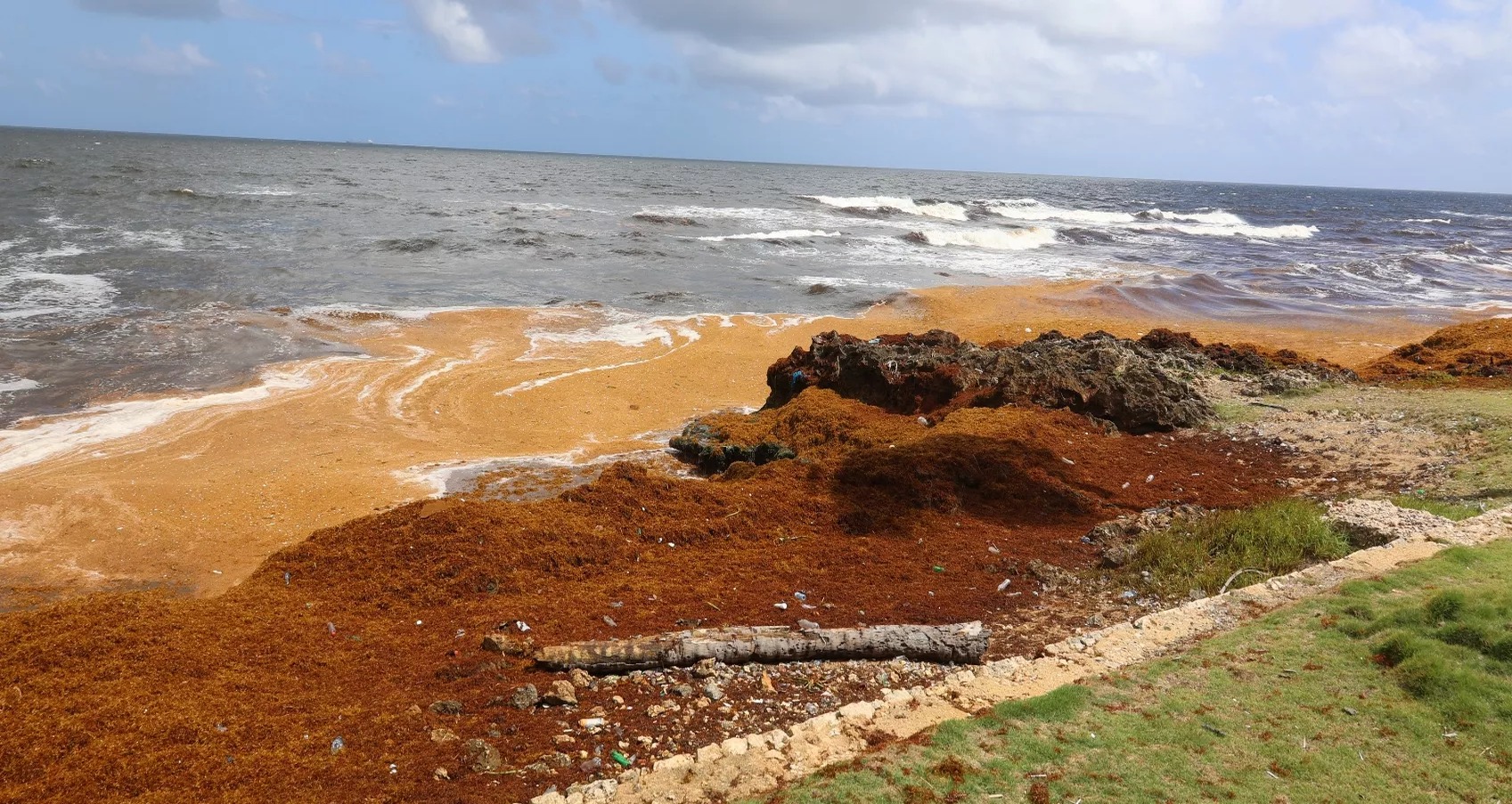 República Dominicana Lanza Operativo Nacional para Combatir el Sargazo en el Este